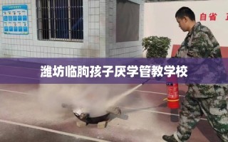 潍坊临朐孩子厌学管教学校