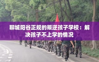 聊城阳谷正规的叛逆孩子学校：解决孩子不上学的情况