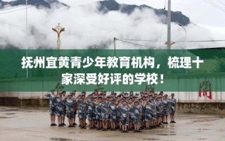 抚州宜黄青少年教育机构，梳理十家深受好评的学校！