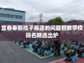 宜春奉新孩子叛逆的问题管教学校排名精选出炉