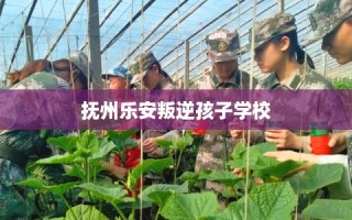 抚州乐安叛逆孩子学校