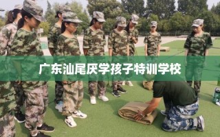 广东汕尾厌学孩子特训学校
