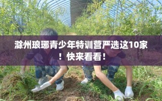 滁州琅琊青少年特训营严选这10家！快来看看！