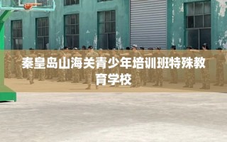 秦皇岛山海关青少年培训班特殊教育学校