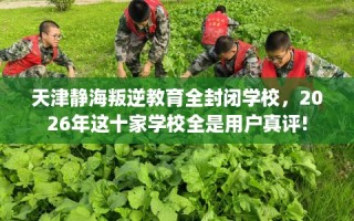 天津静海叛逆教育全封闭学校，2026年这十家学校全是用户真评!