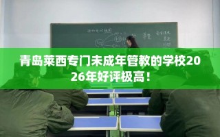 青岛莱西专门未成年管教的学校2026年好评极高！