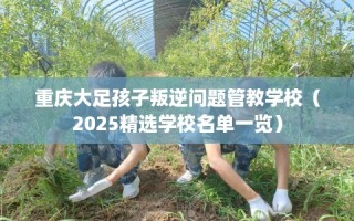 重庆大足孩子叛逆问题管教学校（2025精选学校名单一览）