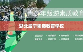 湖北咸宁素质教育学校