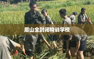 眉山全封闭特训学校