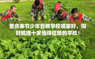 重庆奉节少年管教学校哪家好，同时梳理十家值得信赖的学校！