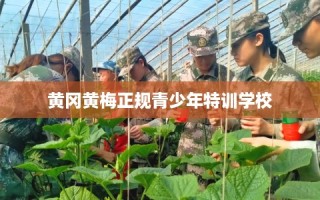 黄冈黄梅正规青少年特训学校