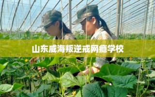 山东威海叛逆戒网瘾学校