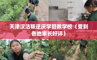 天津汉沽叛逆厌学管教学校（受到各地家长好评）