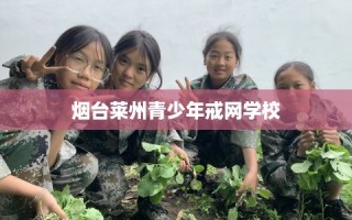 烟台莱州青少年戒网学校