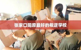 张家口阳原最好的叛逆学校