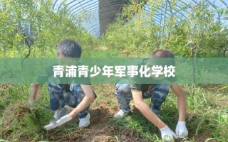青浦青少年军事化学校