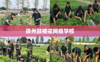徐州鼓楼戒网瘾学校