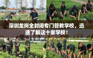 深圳龙岗全封闭专门管教学校，迅速了解这十家学校！