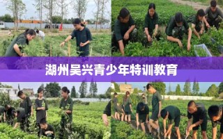 湖州吴兴青少年特训教育
