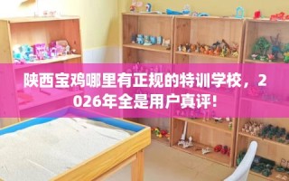 陕西宝鸡哪里有正规的特训学校，2026年全是用户真评!