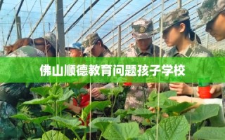 佛山顺德教育问题孩子学校