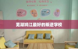 芜湖鸠江最好的叛逆学校