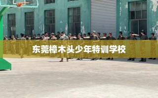 东莞樟木头少年特训学校