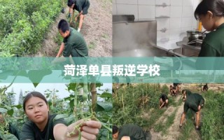 菏泽单县叛逆学校