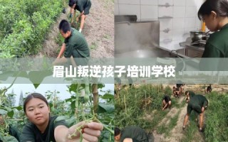 眉山叛逆孩子培训学校