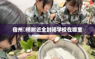 宿州埇桥附近全封闭学校在哪里
