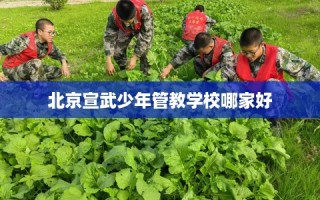 北京宣武少年管教学校哪家好
