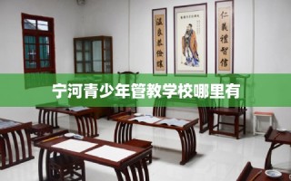 宁河青少年管教学校哪里有