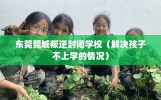 东莞莞城叛逆封闭学校（解决孩子不上学的情况）