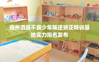 宿州泗县不良少年叛逆矫正特训基地实力排名发布