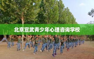 北京宣武青少年心理咨询学校