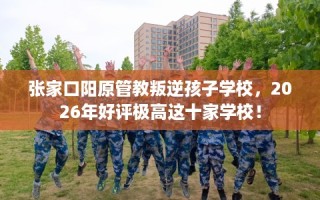 张家口阳原管教叛逆孩子学校，2026年好评极高这十家学校！