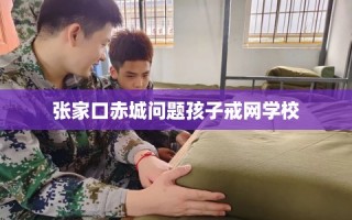 张家口赤城问题孩子戒网学校