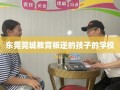 东莞莞城教育叛逆的孩子的学校
