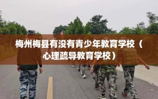 梅州梅县有没有青少年教育学校（心理疏导教育学校）