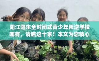 阳江阳东全封闭式青少年叛逆学校哪有，请瞧这十家！本文为您精心筛选！