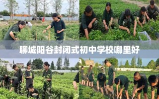 聊城阳谷封闭式初中学校哪里好