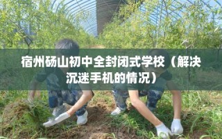 宿州砀山初中全封闭式学校（解决沉迷手机的情况）