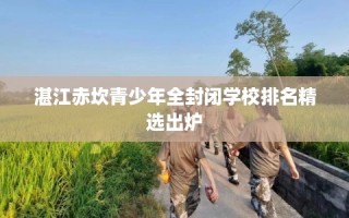 湛江赤坎青少年全封闭学校排名精选出炉