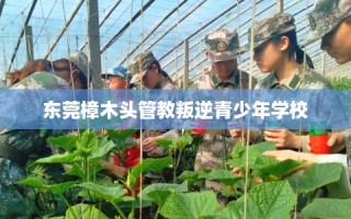 东莞樟木头管教叛逆青少年学校