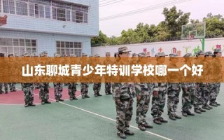 山东聊城青少年特训学校哪一个好
