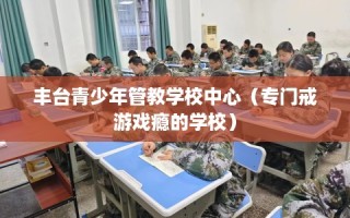 丰台青少年管教学校中心（专门戒游戏瘾的学校）