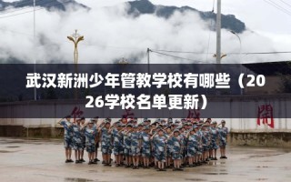 武汉新洲少年管教学校有哪些（2026学校名单更新）