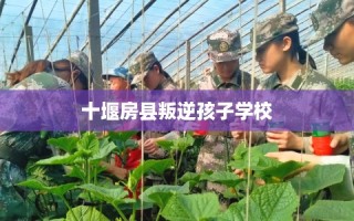 十堰房县叛逆孩子学校