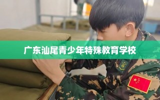 广东汕尾青少年特殊教育学校