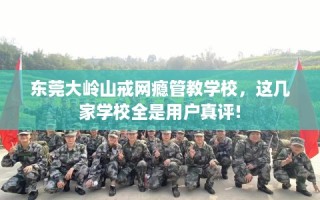 东莞大岭山戒网瘾管教学校，这几家学校全是用户真评!